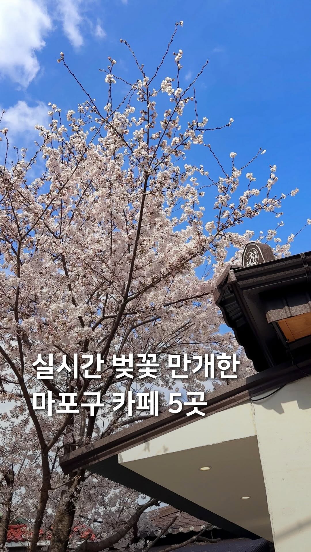 삼도리 아카이브ㅣ공간기록장, Mapo-gu