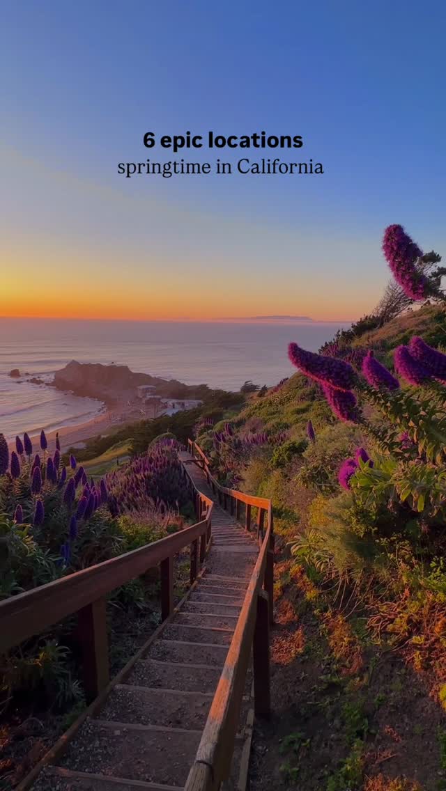 Nell Narasappa | California Travel & Outdoor Adventure, Montara State Beach