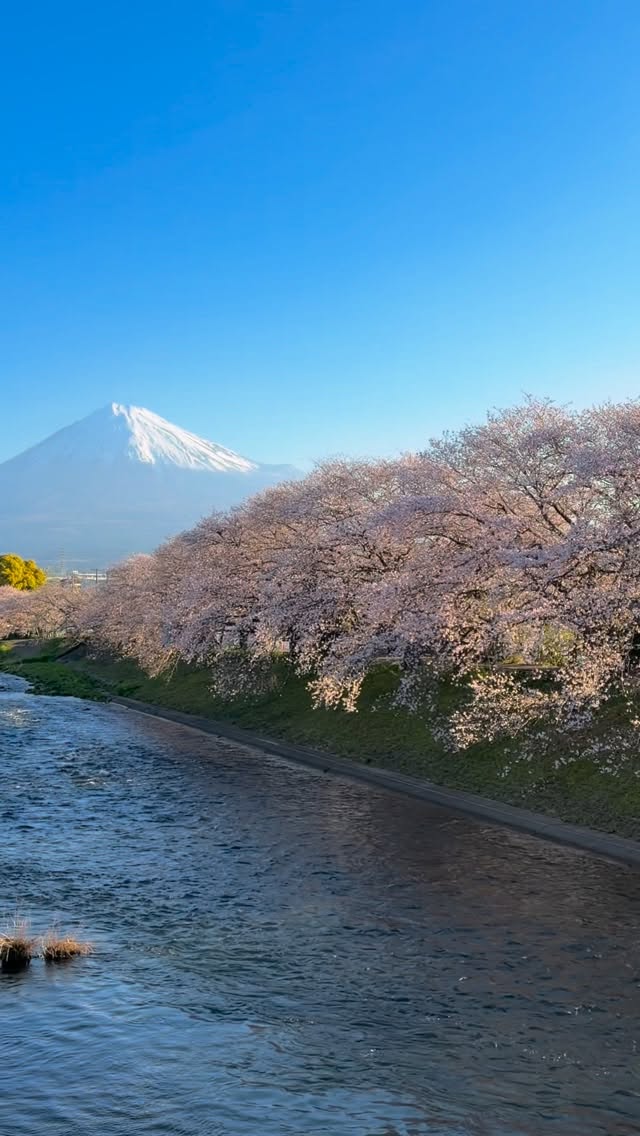 あちゃ｜旅行クリエイター, Mount Fuji