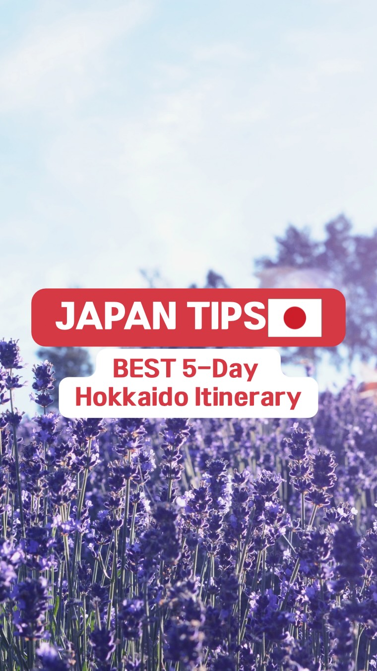 Tokyo Photo Guide 📸✨, Mount Hakodate