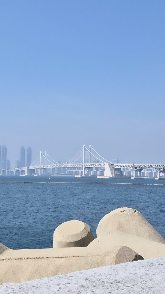 Dani 다희 | English Teacher | South Korea, Haeundae Marine City