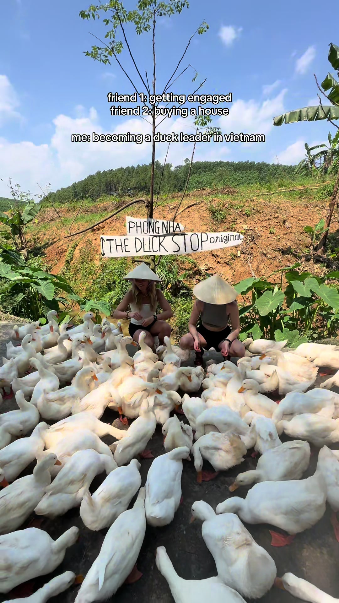 Desiree, Vietnam