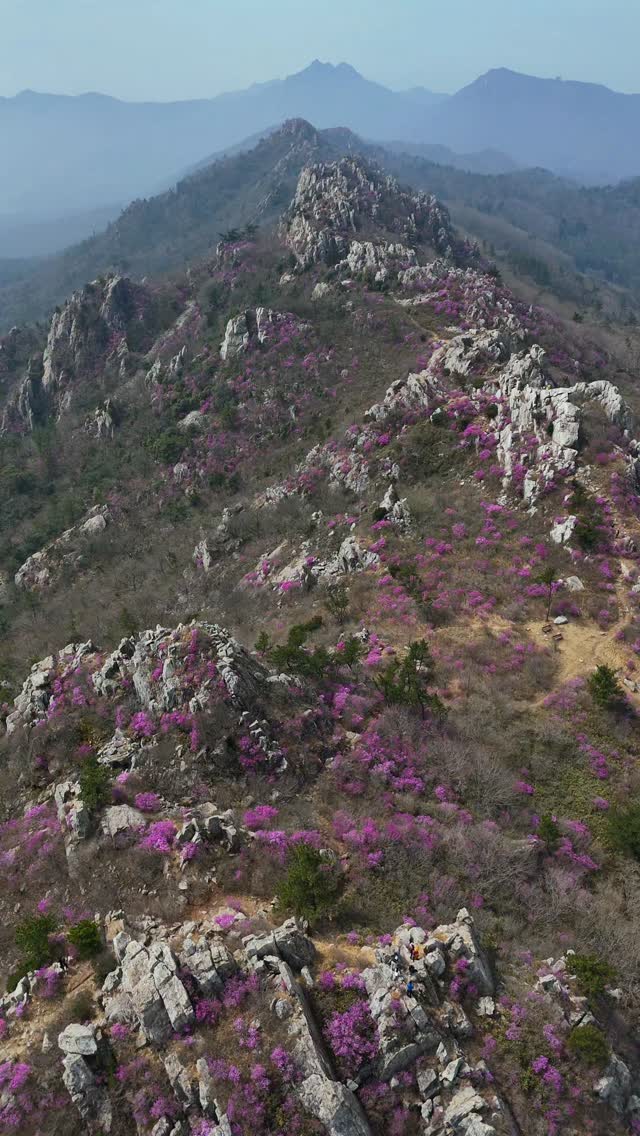김정훈, 주작산