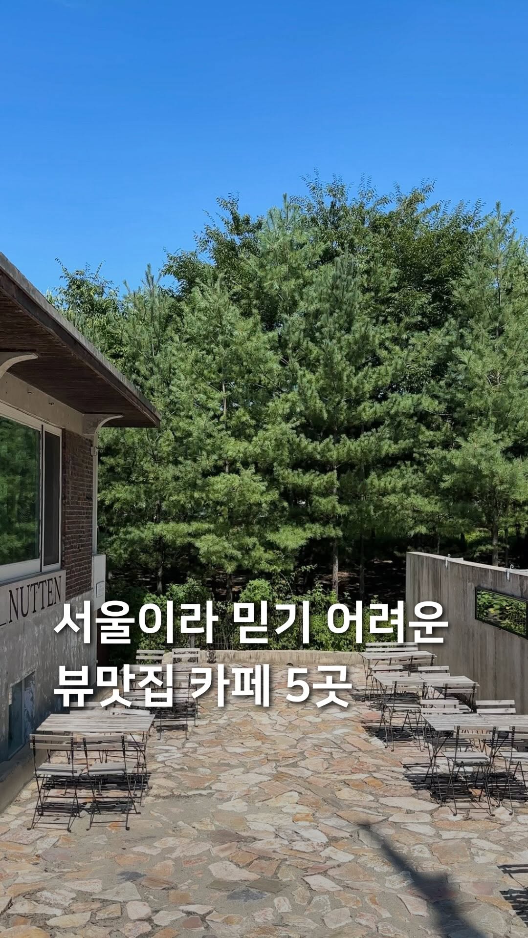 삼도리 아카이브ㅣ공간기록장, Coffee Tree of Joseph