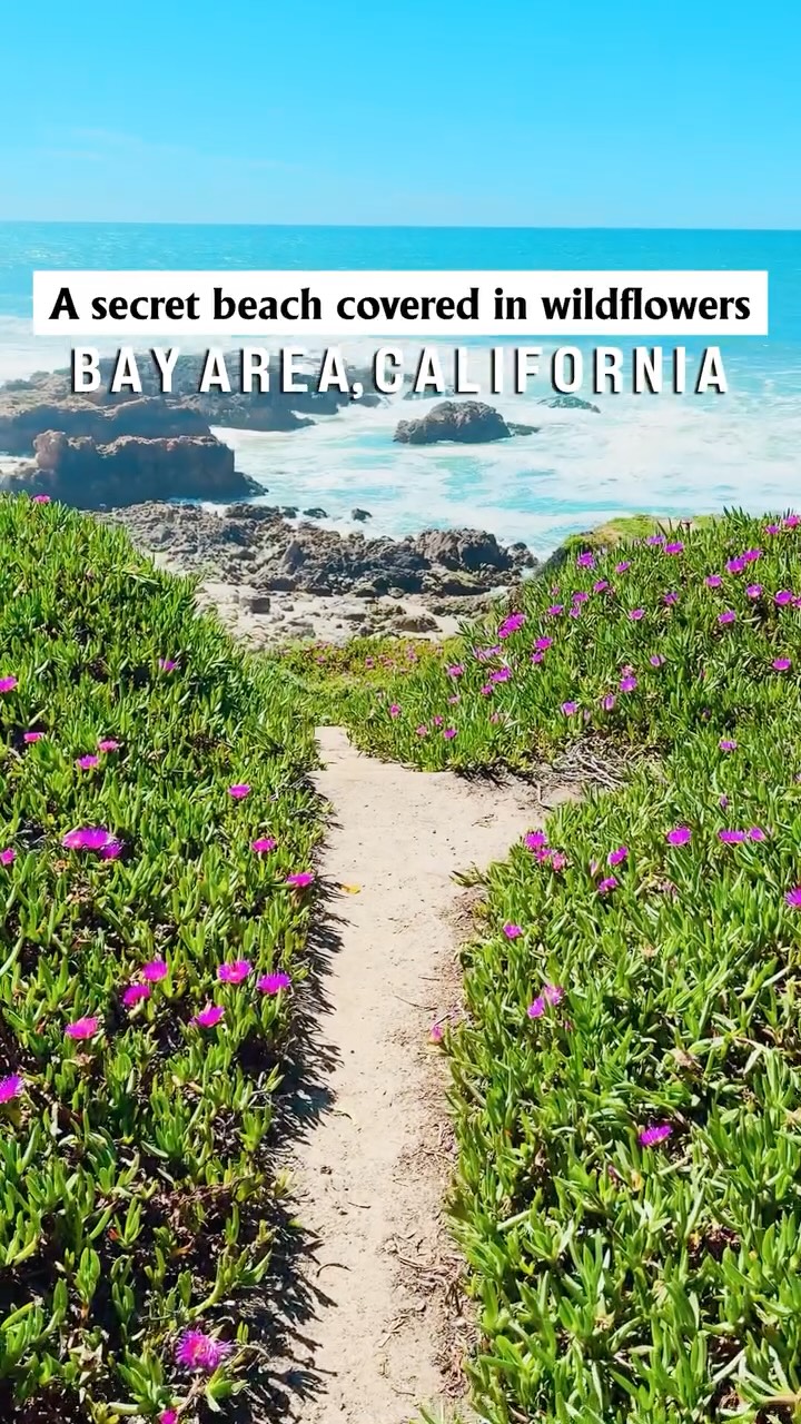 Athi  * SF Bay Area Family Travel - Budget Friendly California, San Francisco
