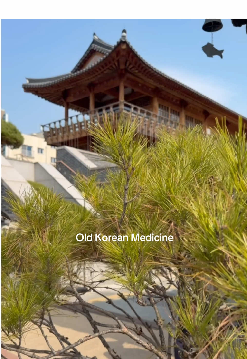 thehestiaclinic, Seoul K-medi Center