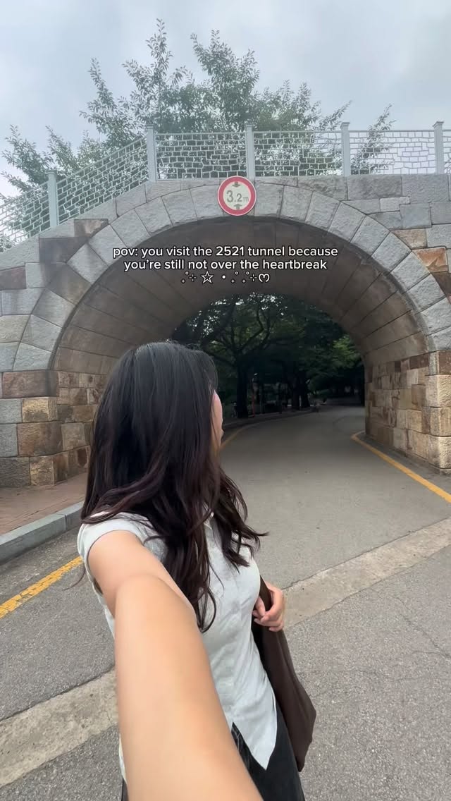 serena | ⸜( ˙˘˙)⸝ *♡･ﾟ✧*:･ﾟ✧, Paldalmun (Paldal Gate)
