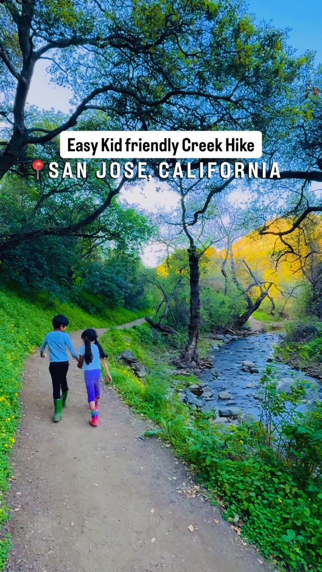 Athi  * SF Bay Area Family Travel - Budget Friendly California, Alum Rock Park