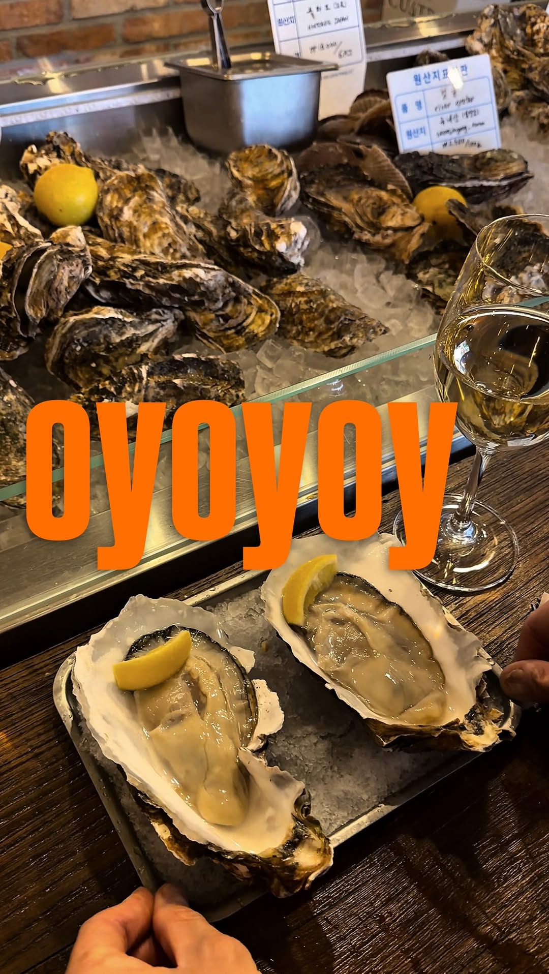 왈왈 큐레이터 | 맛집 카페 공간 팝업 여행, oyoyoy | Oyster Bar · Wine & Whiskey | 酒吧 · 乙支路 | バー