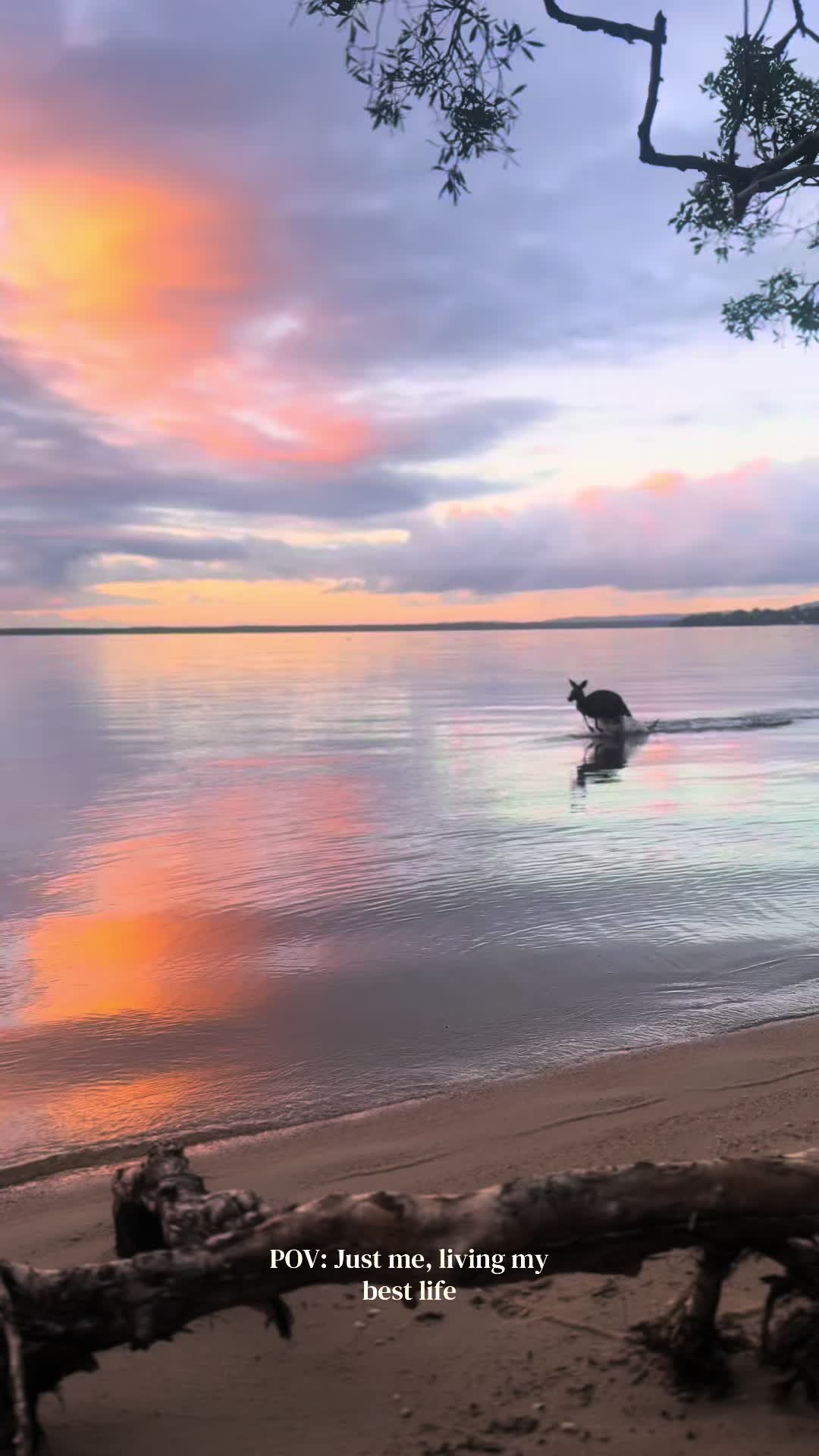 megansladex✨🤍, Noosa Shire