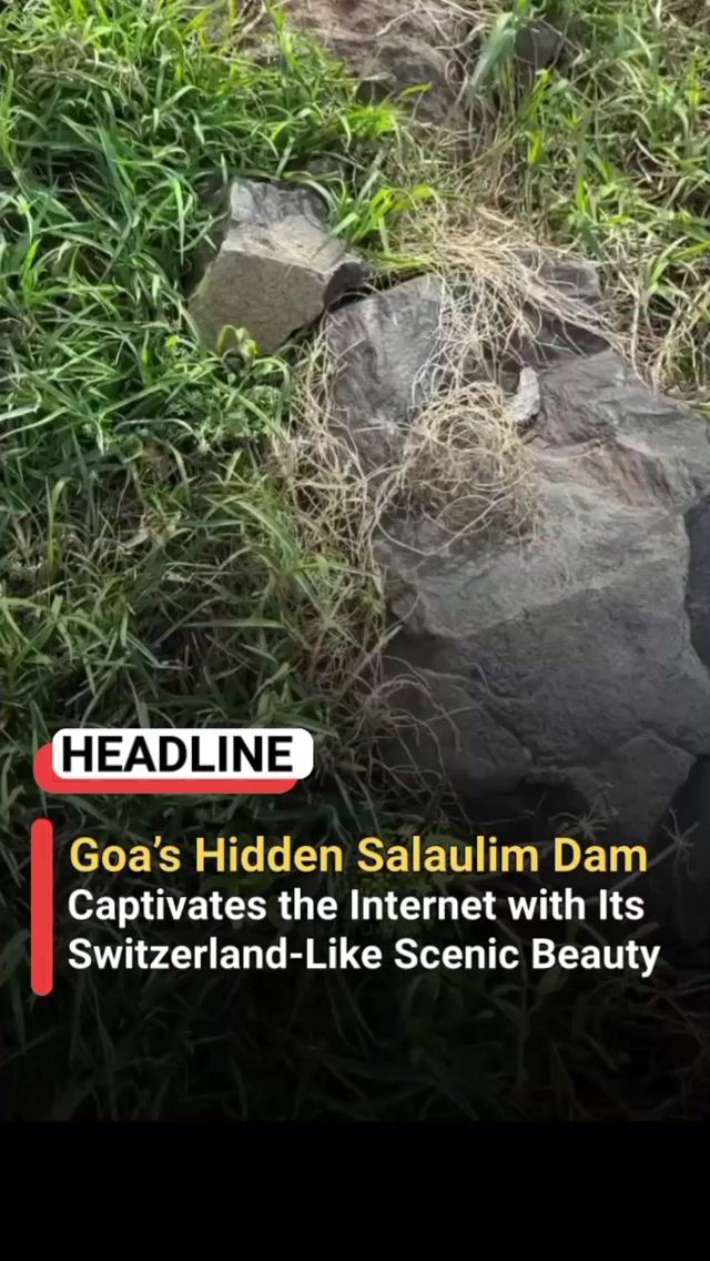 VERIFIED_INDIANS, Goa