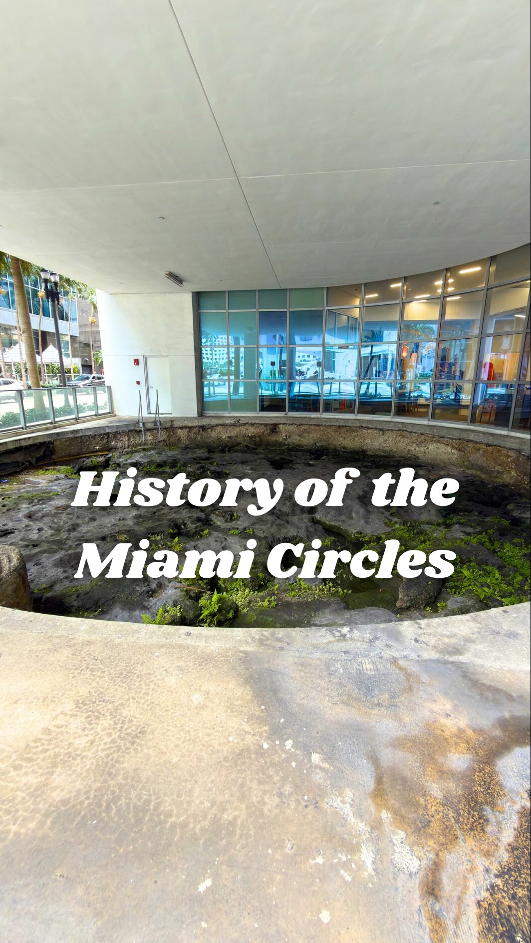 Carolina Isabela, HistoryMiami Museum