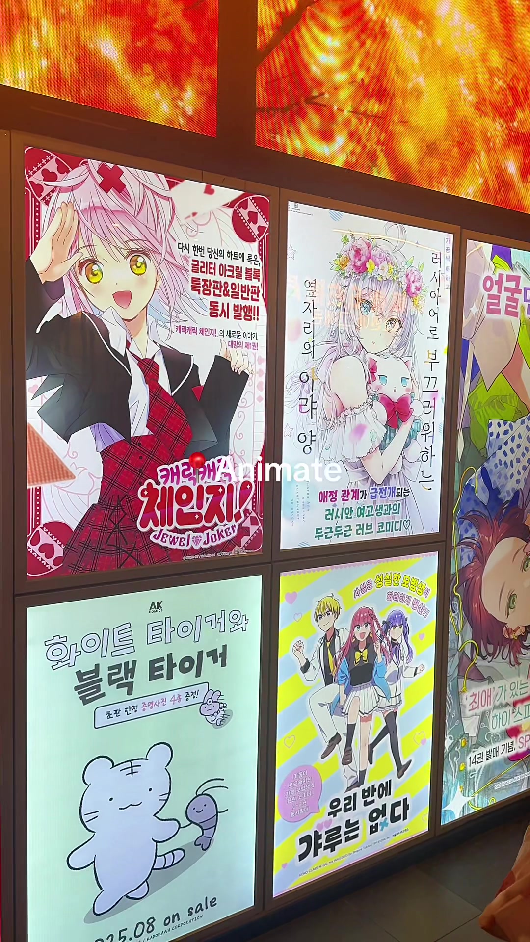 Shyberry⁷, Hongdae Street
