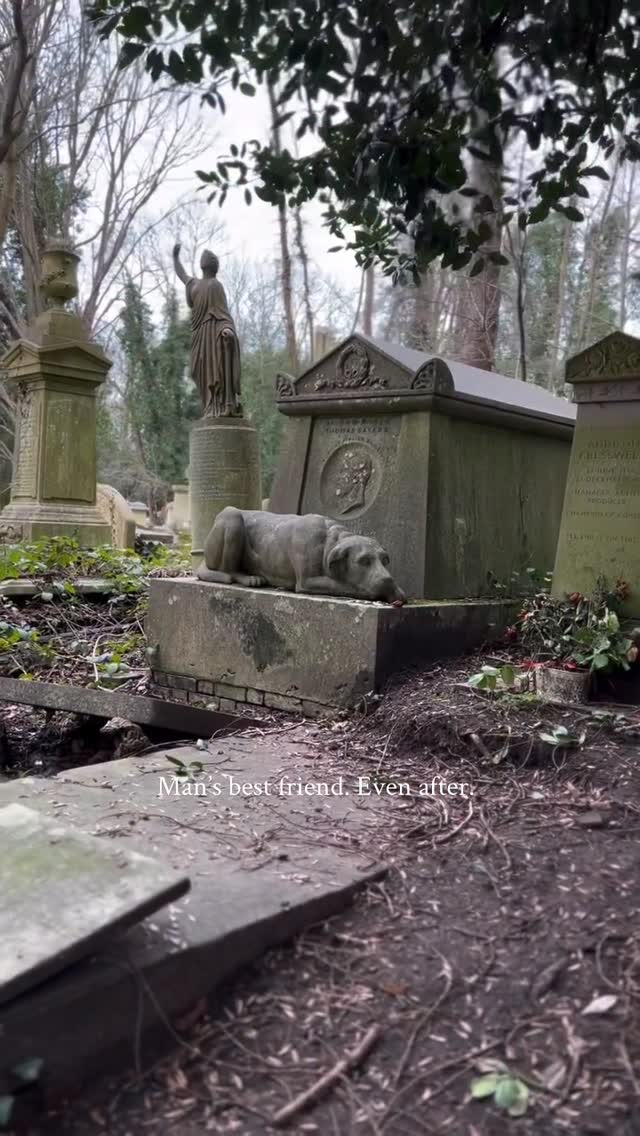 Sleepy Hollow Country 🗝️ Julia McCue, London