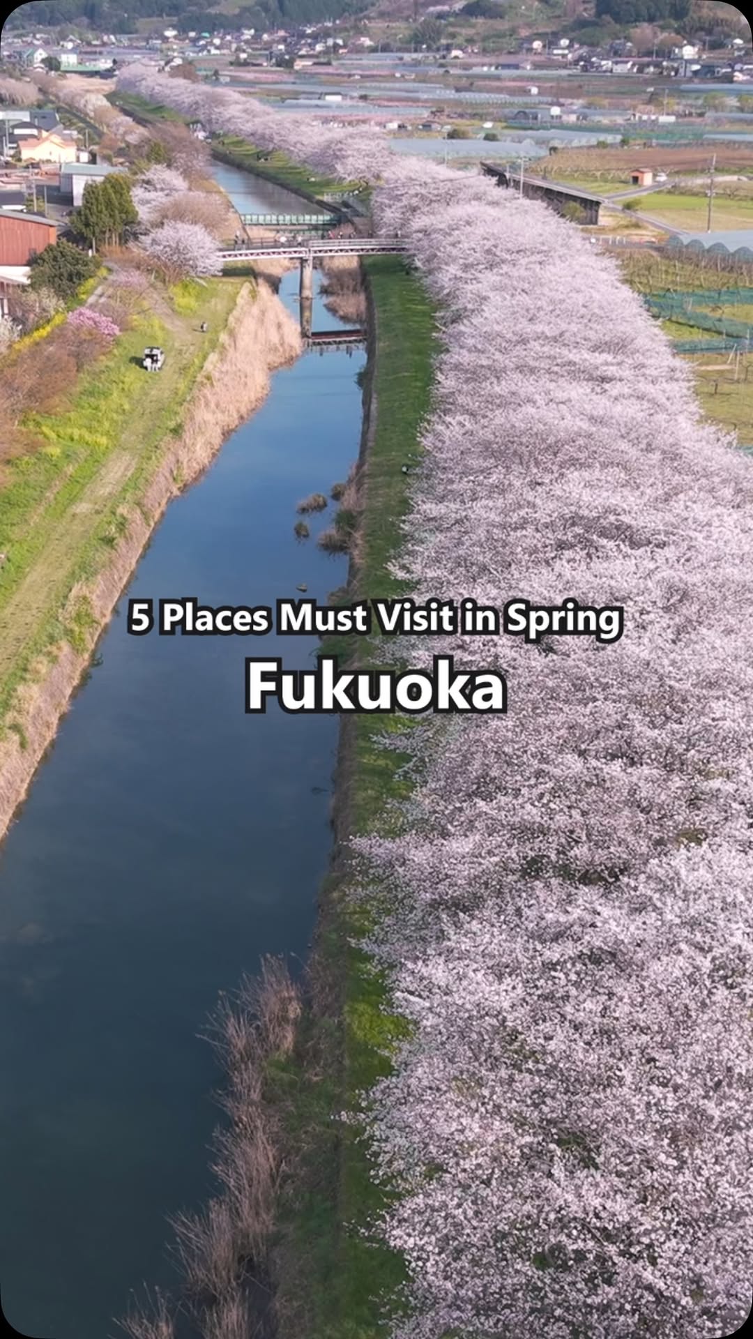 KYUJOY, Fukuoka Castle Ruins