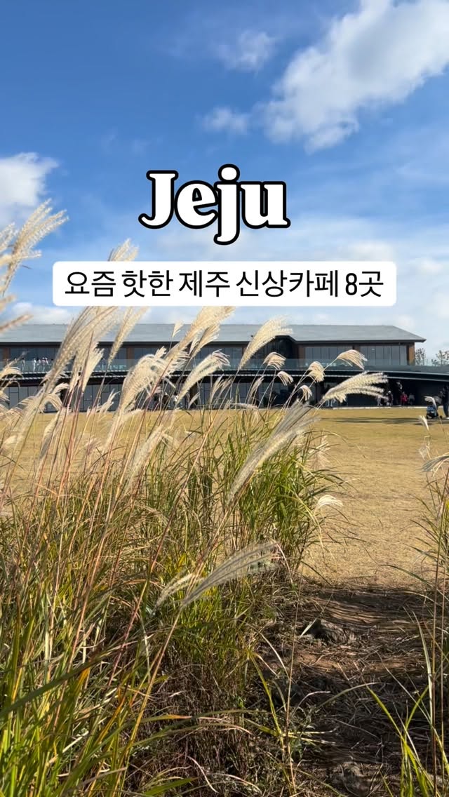 속초 어느멋진날카페 | 노연정, Osulloc Tea Museum