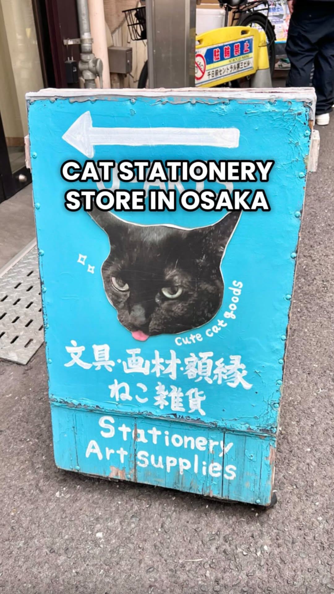 Leanne · Japan Life & Travel, Osaka-Namba Station