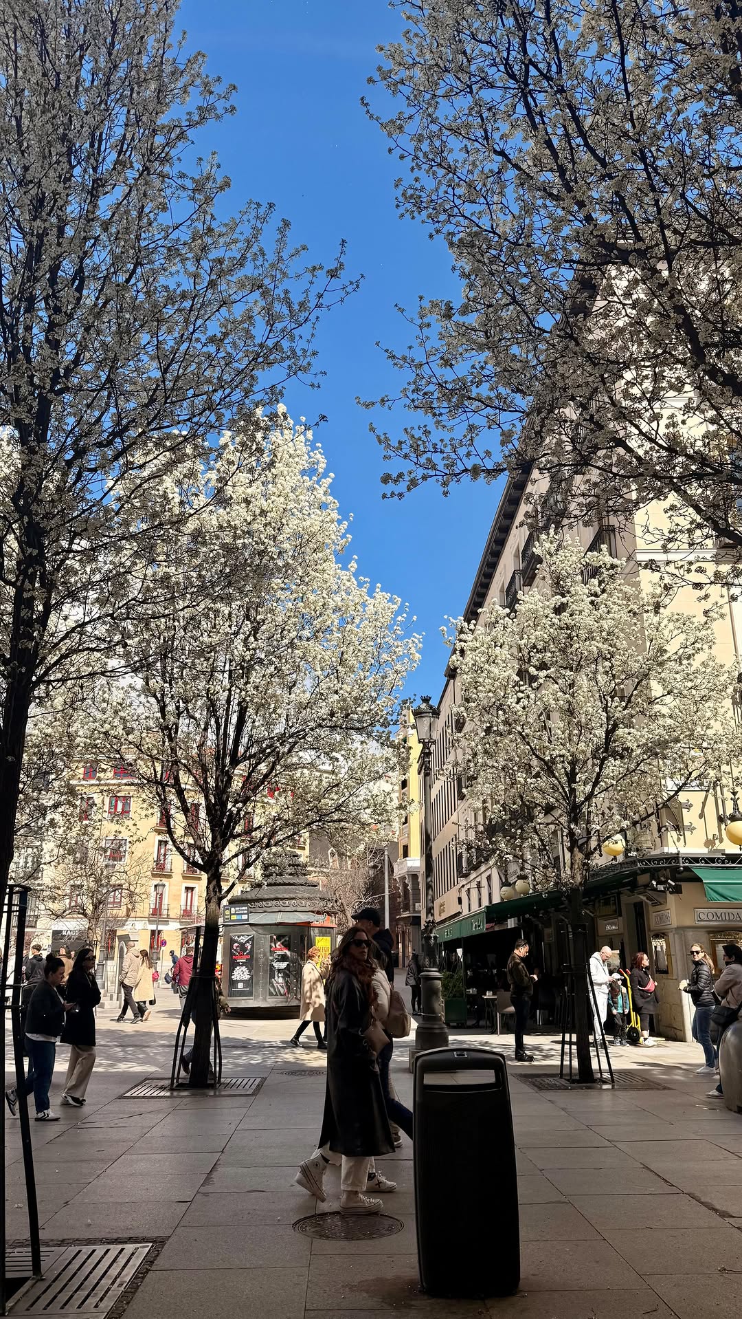 Teresa Casero, Myeong-dong