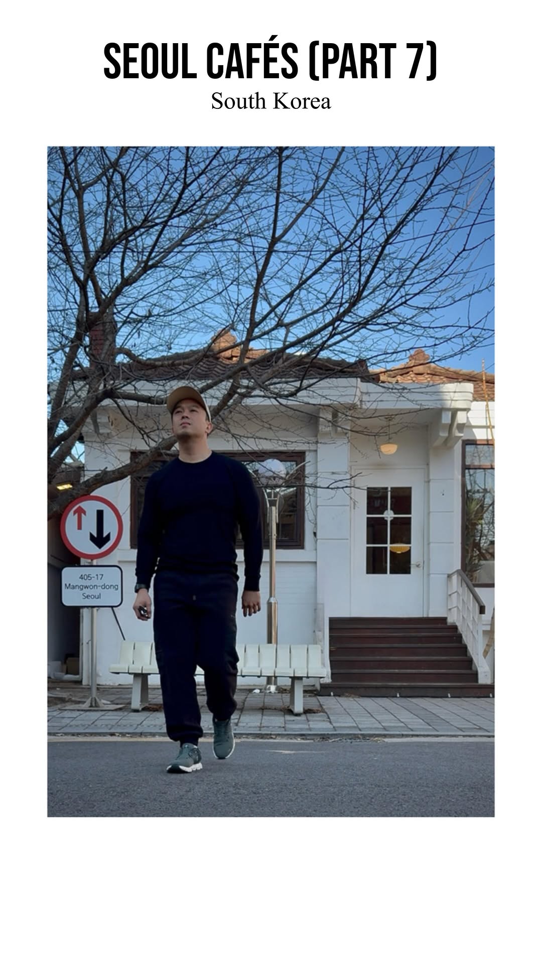 the hungry wolf, 마이크로바이닐하우스 MicroVinylHouse