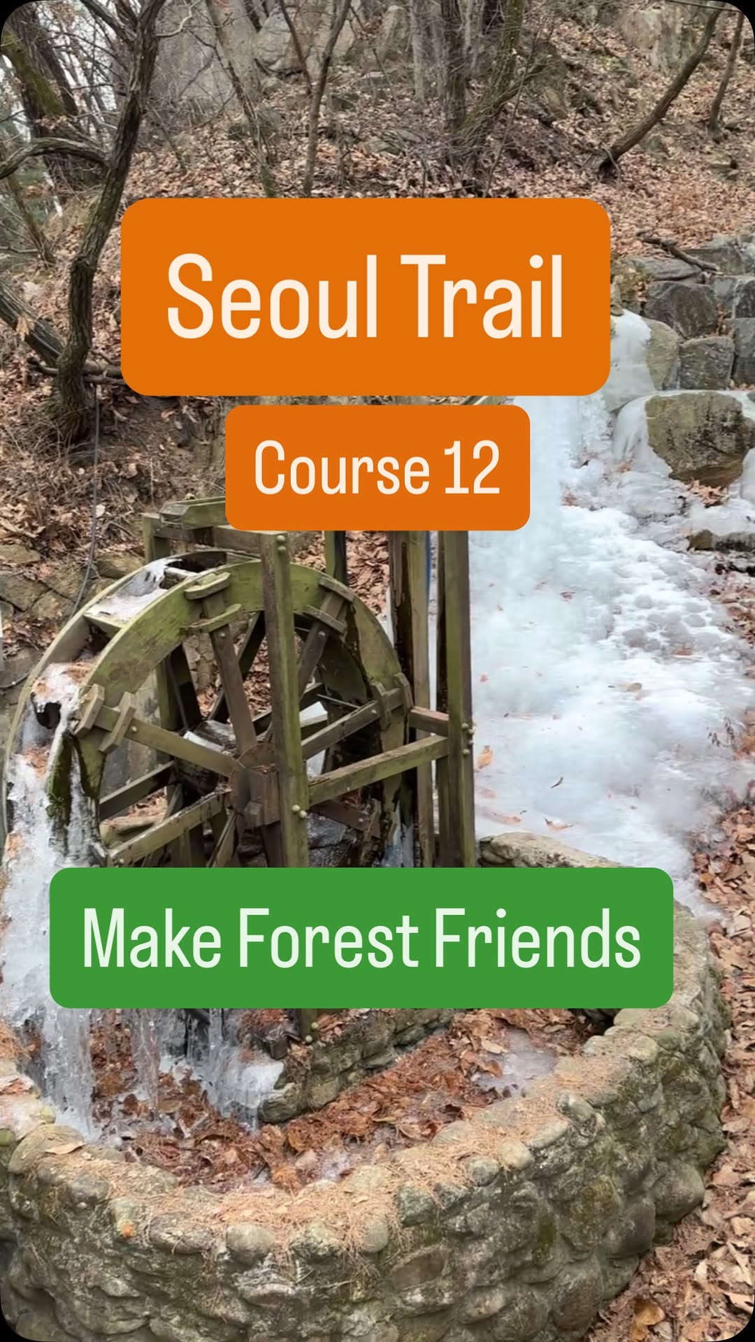 Daniele/Expat Travel Vlogger, Hoamsan