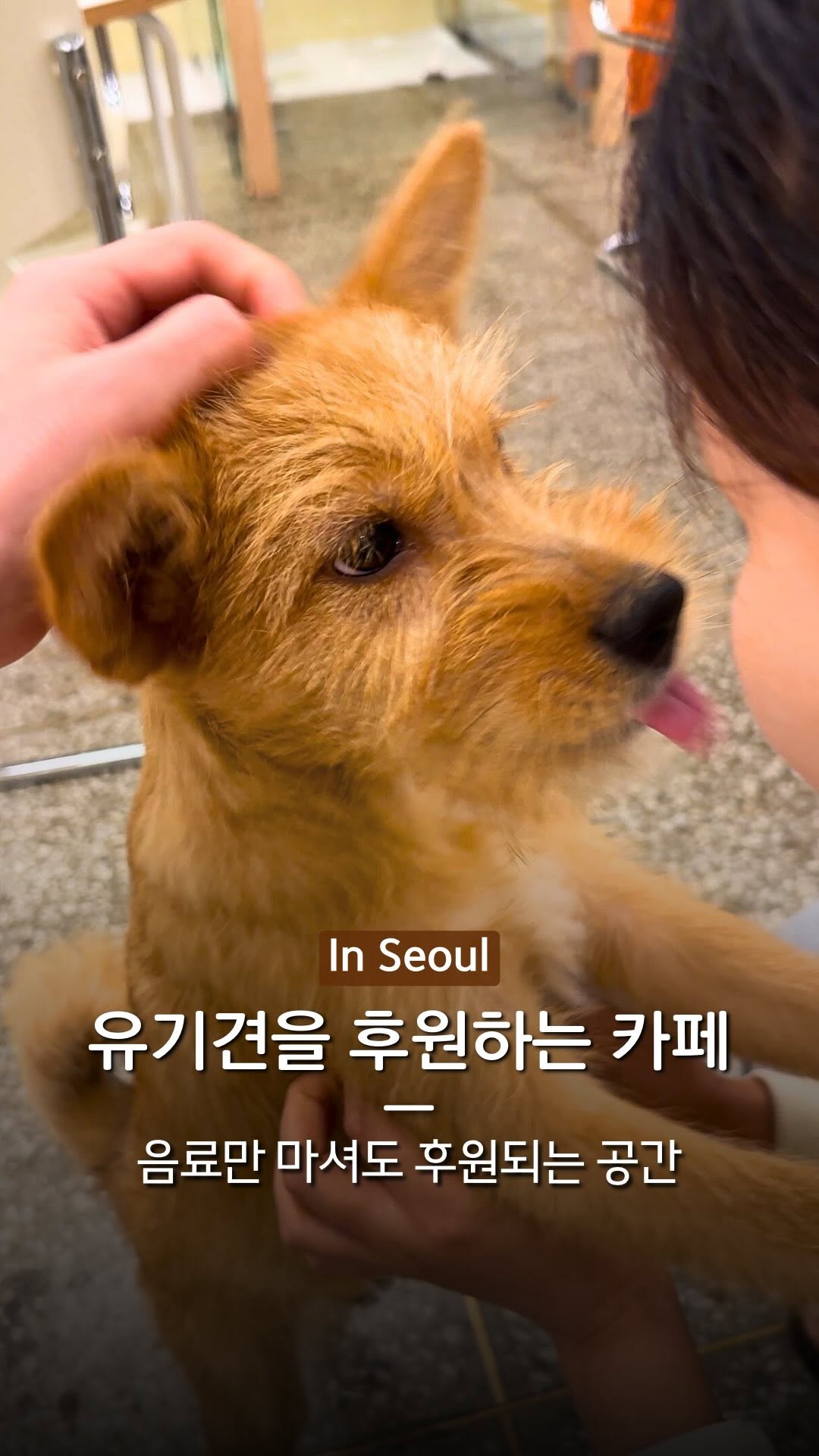 한바탕ㅣ여행 핫플 팝업 전시 플레이스, Daeheung