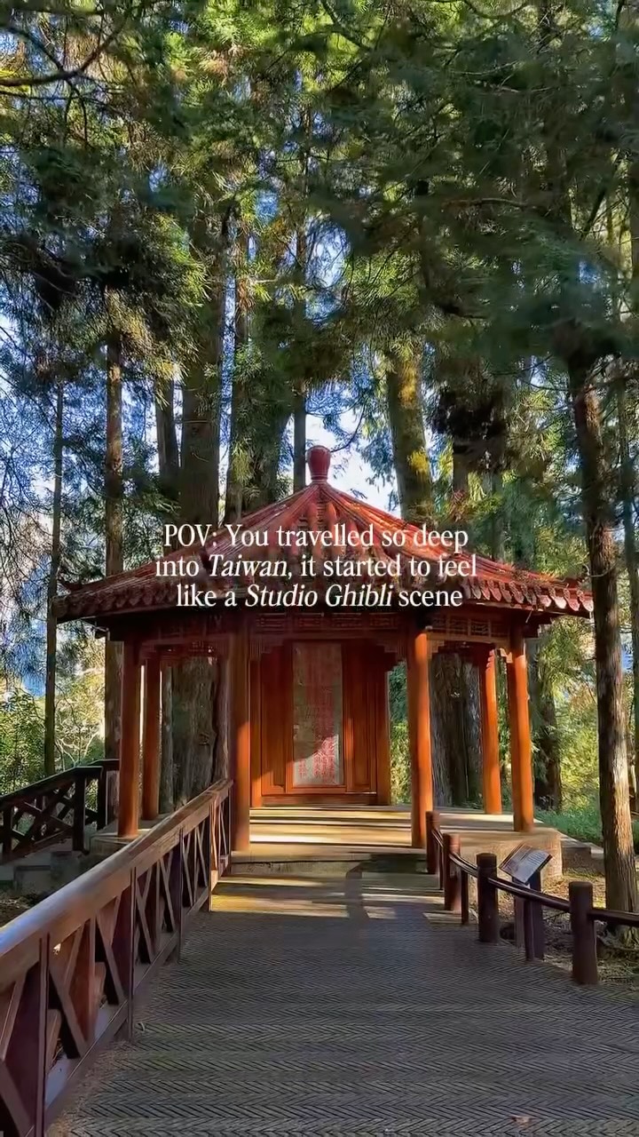 ysabelle • travel & lifestyle, Alishan National Forest Recreation Area