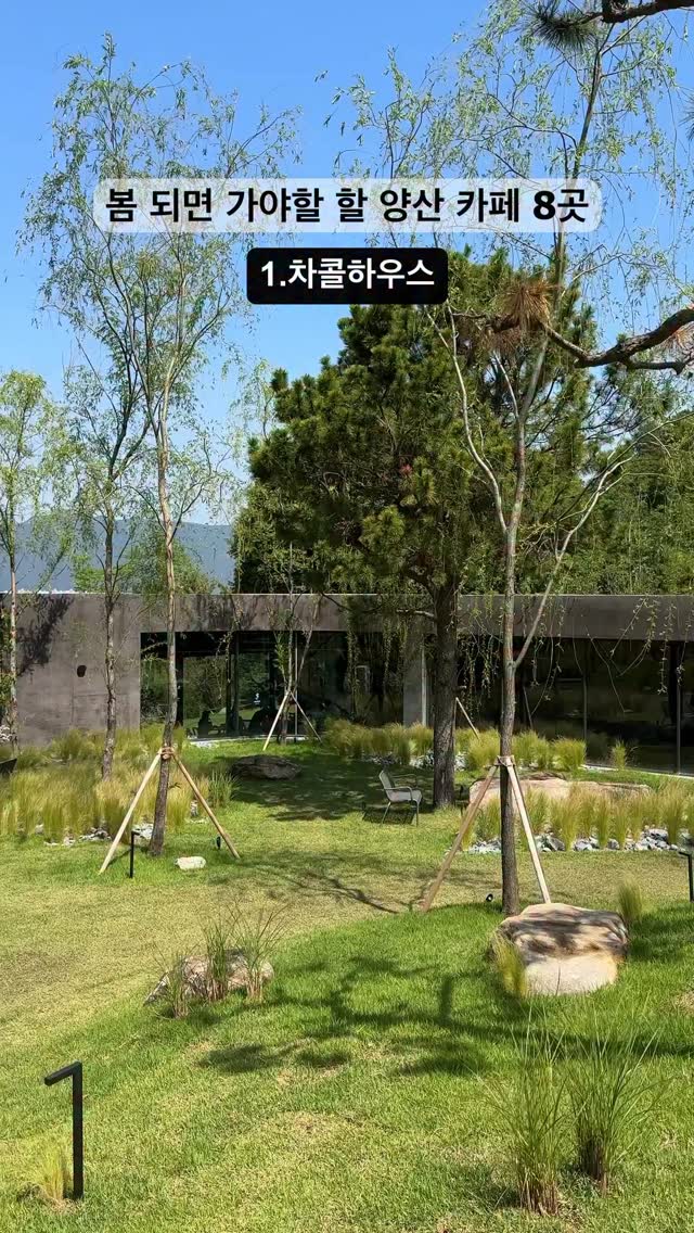 라이언픽 | 카페 · 숙소 · 여행, 느티나무의사랑 카페