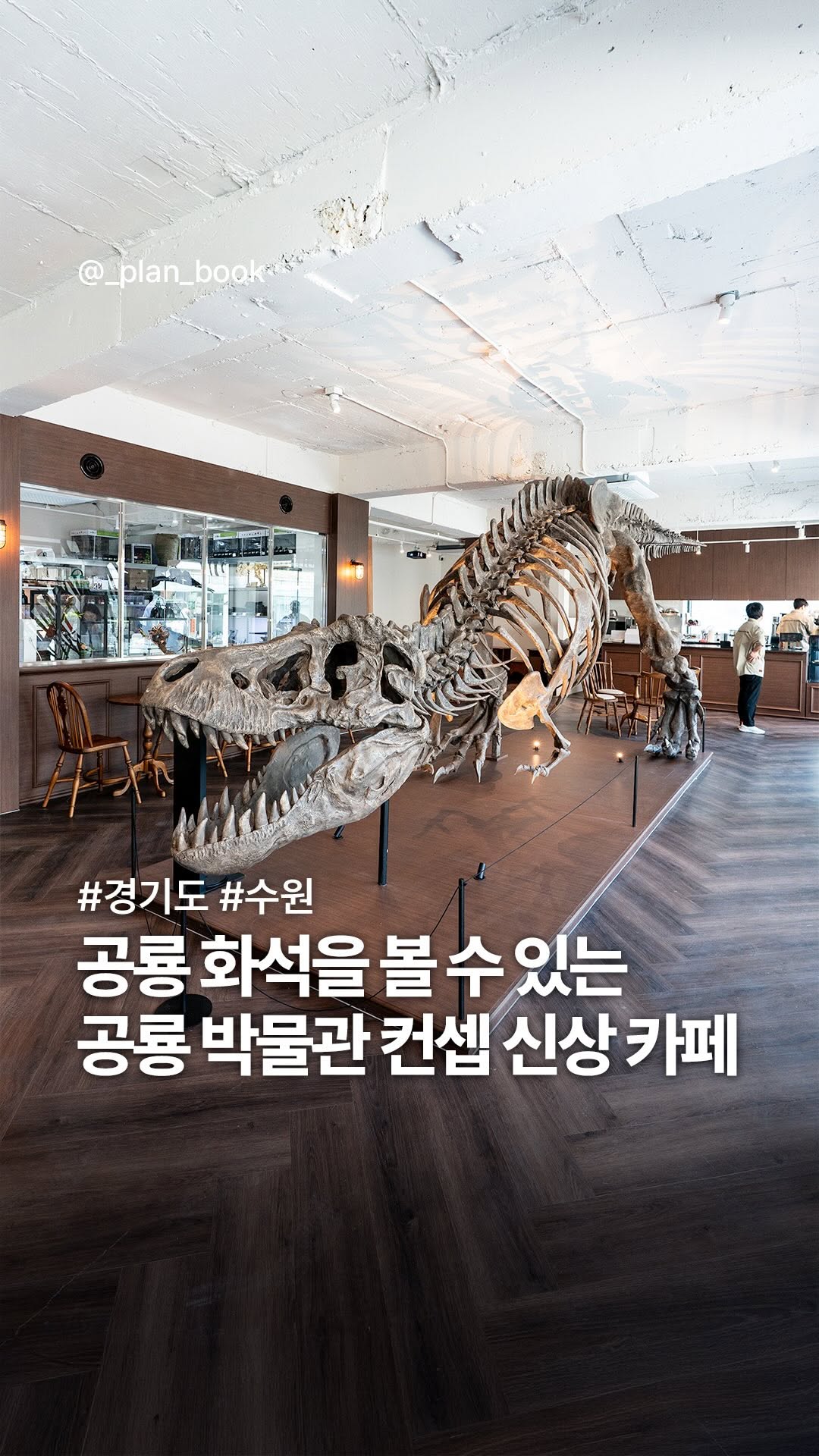 플랜북 | 카페 전시 팝업 맛집 숙소, Naturalis Biodiversity Center