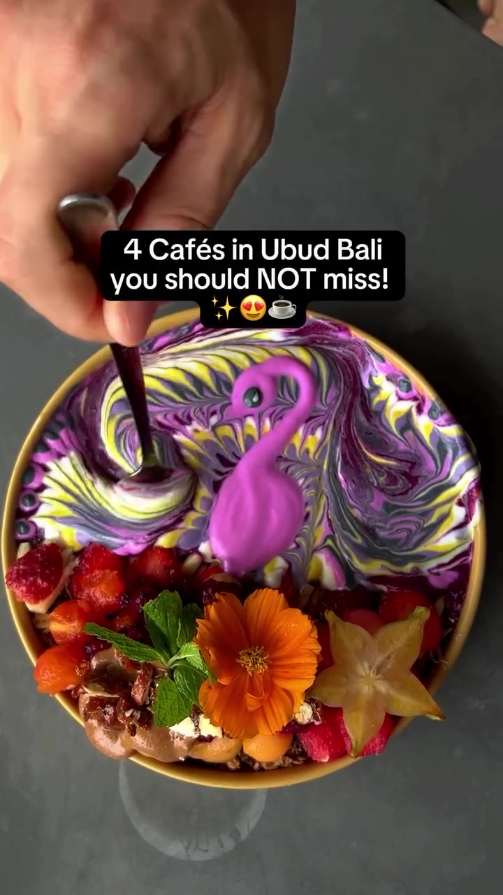 Bali tour & Travel, Lazy Cats Cafe