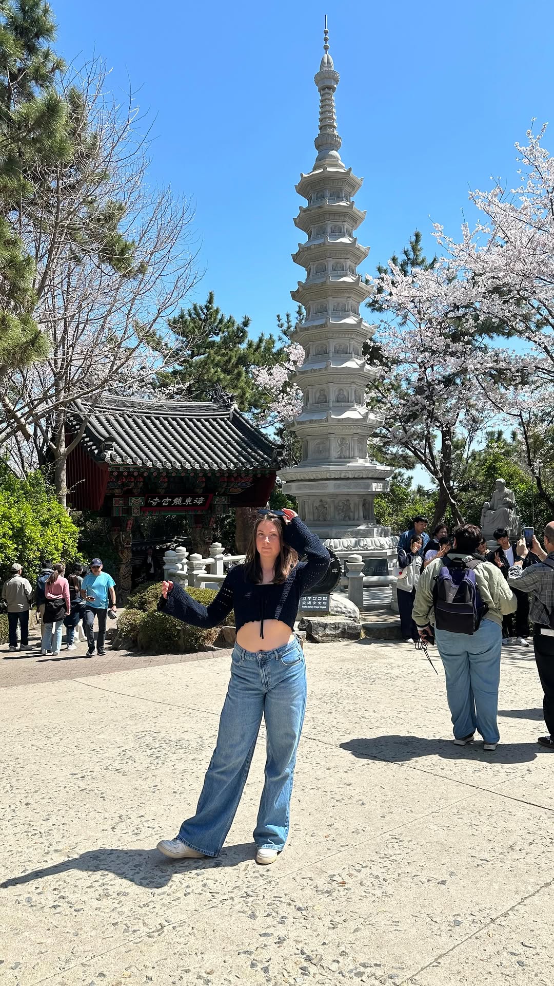 Narcisse, Haedong Yonggungsa Temple, Busan