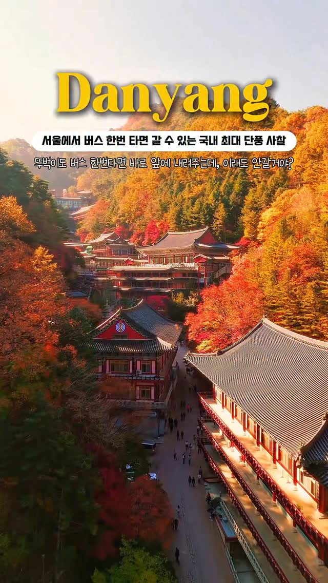 원더풀데이 | 네 여행을 책임져도 될까?, 서울고속버스터미널
