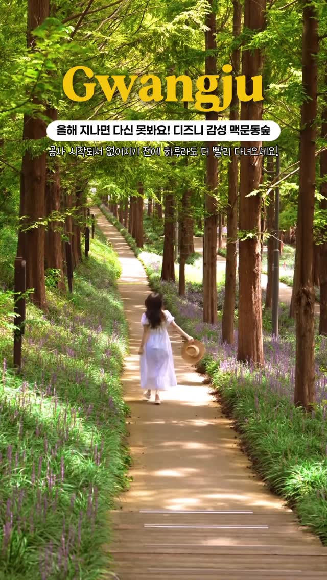 원더풀데이 | 네 여행을 책임져도 될까?, 문화근린공원 무료주차장