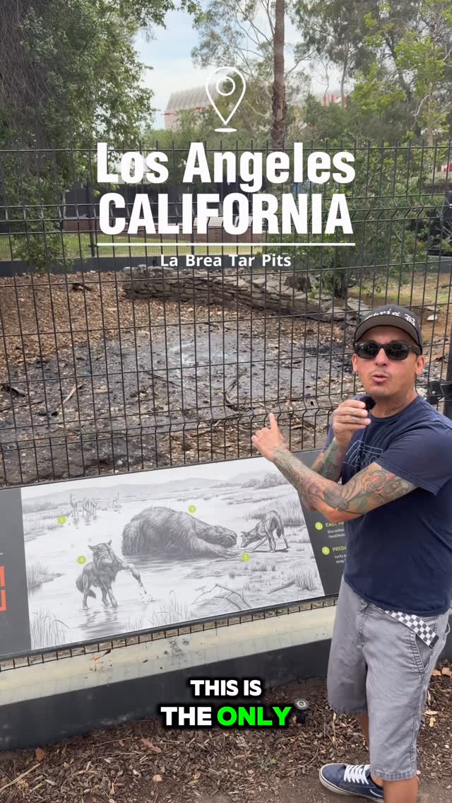 Chris B, La Brea Tar Pits and Museum