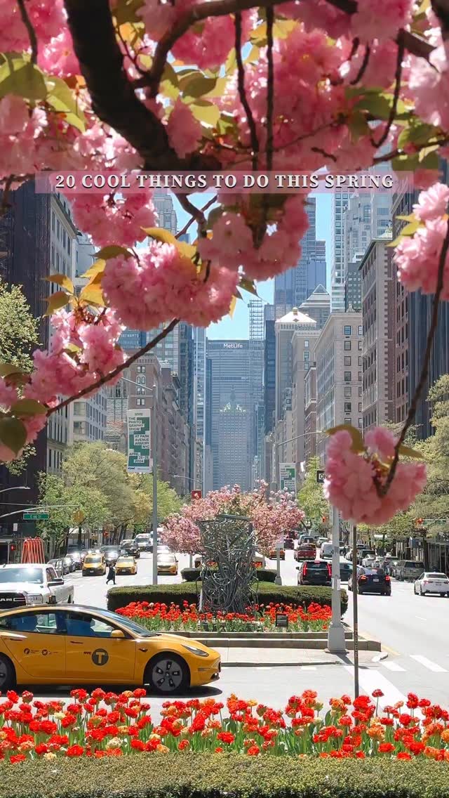Gosia Brzostowski📍New York City & Travel, Times Square
