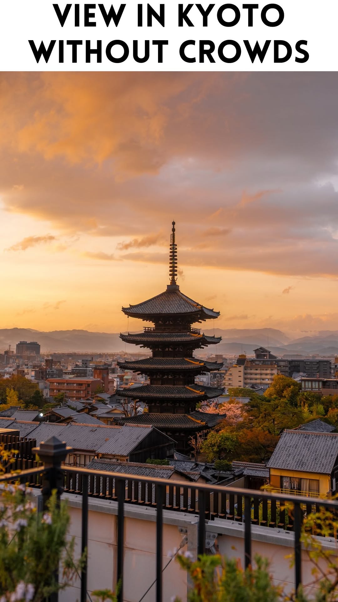 Jackie Rezk✨ Solo Travel Blogger | London, Hokan-ji