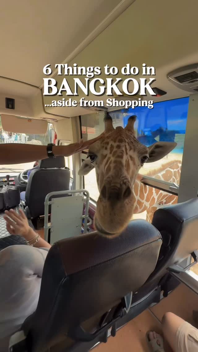 maki santos, Khao Yai National Park