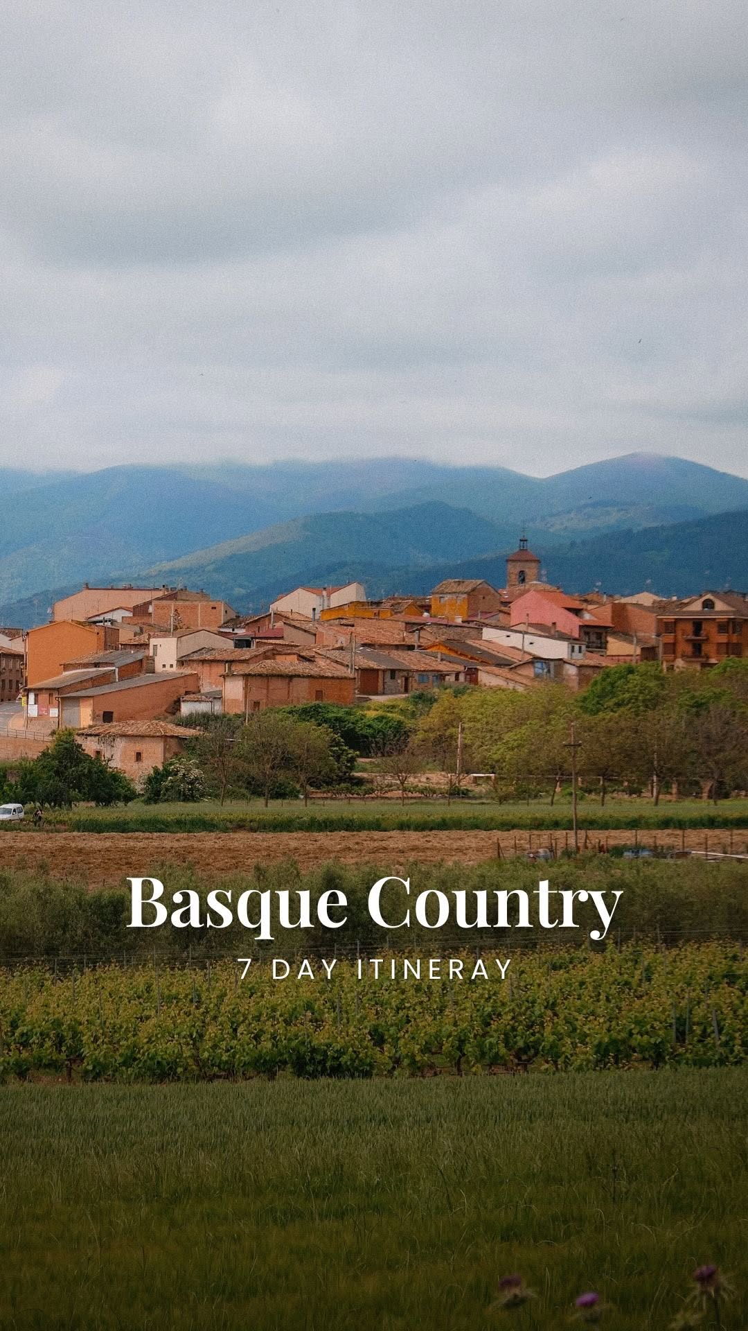 jess ellis | travel creator & photographer, Bodegas David Moreno La Rioja Alta