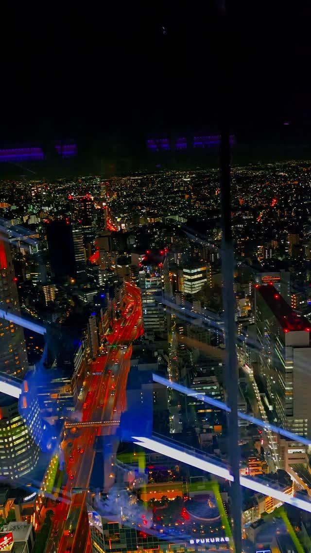 Divya Philip, Shibuya Scramble Crossing