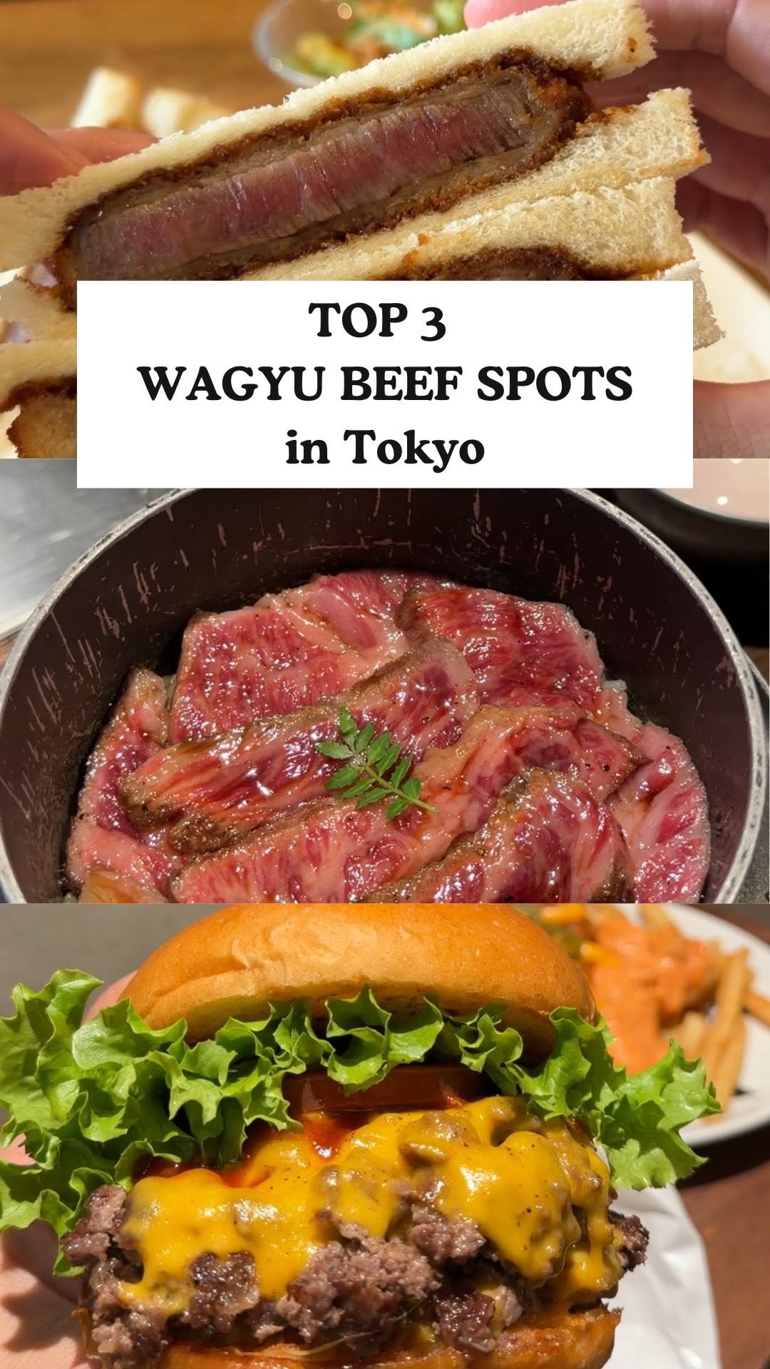 japanlocalexperience, Shogun Burger Shinjuku