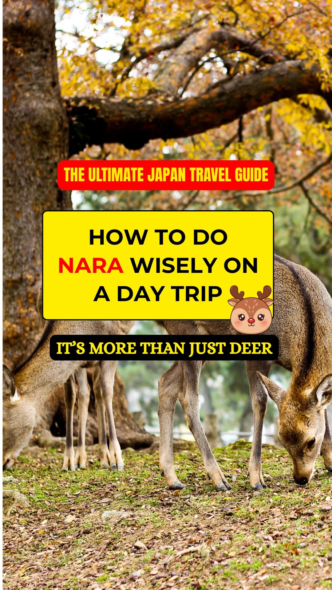 Travel Wise Japan, Nara Park