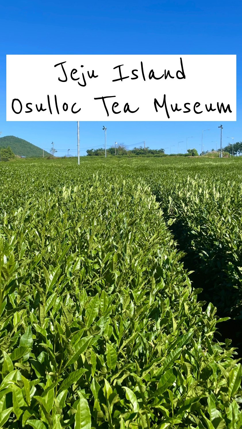 christina • writer • traveller, Osulloc Tea Museum