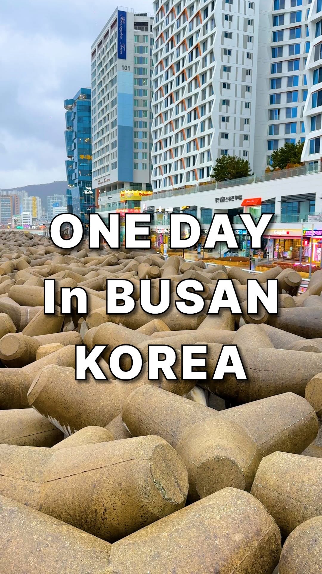 Bae | South Korea Travel Guide, The Bay 101