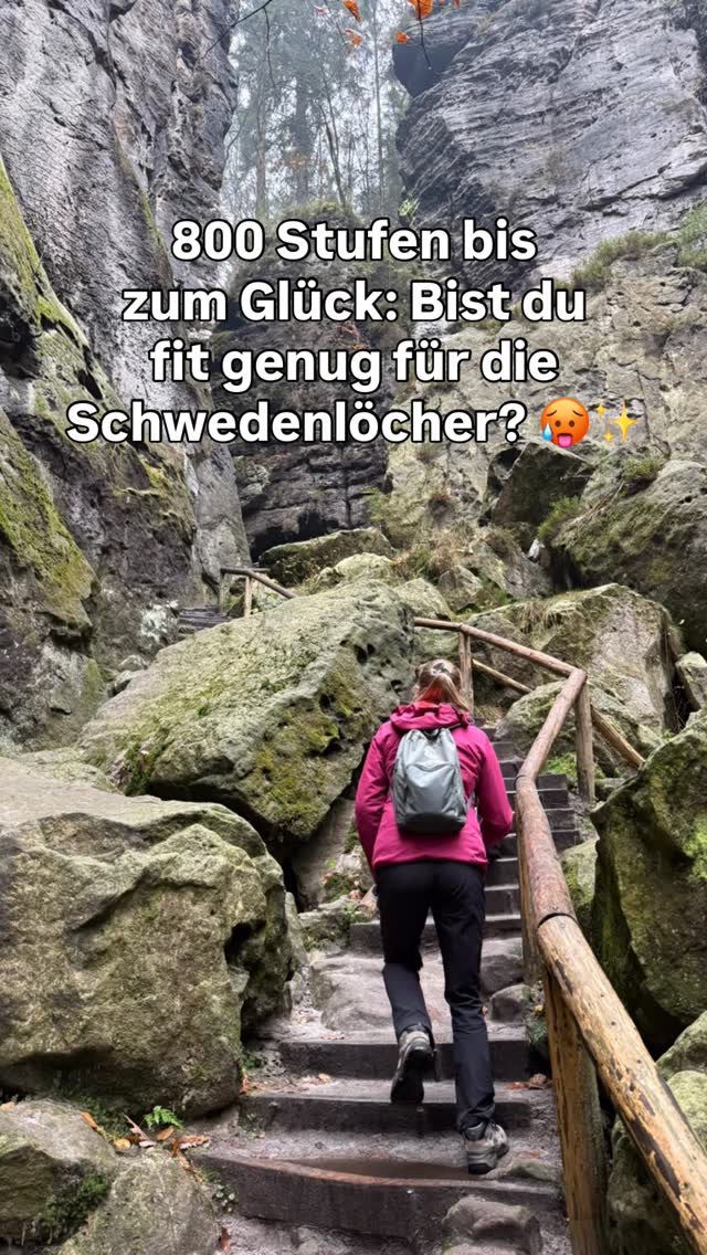 Daniel & Marisa mit Mia | Teilzeit-Vanlife mit Hund, Bastei