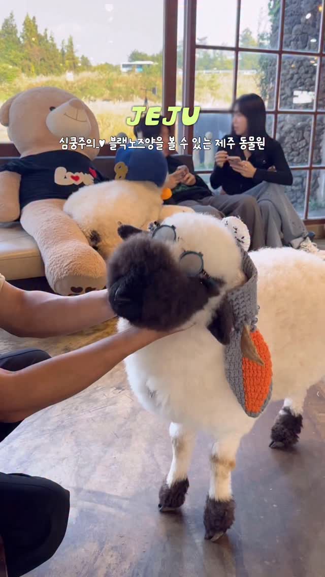 대파걸 | 맛집 • 카페 • 여행, 새별오름