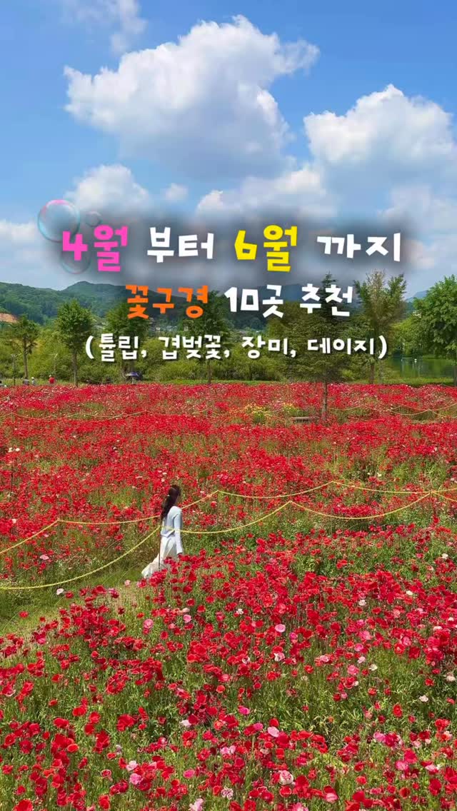 윤찡ㅣ여행.카페. 핫플 🫧, Ilsan Lake Park Goyang Flower Exhibition