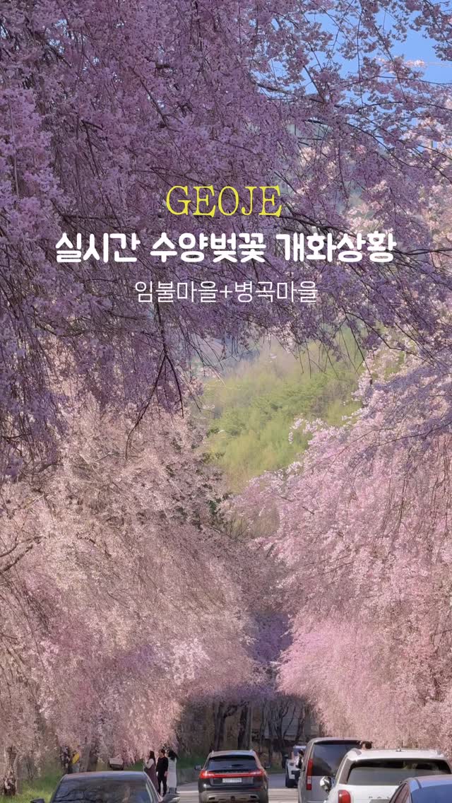 로로 | 부산 , 제주 여행, Sancheong Deokcheon Seowon