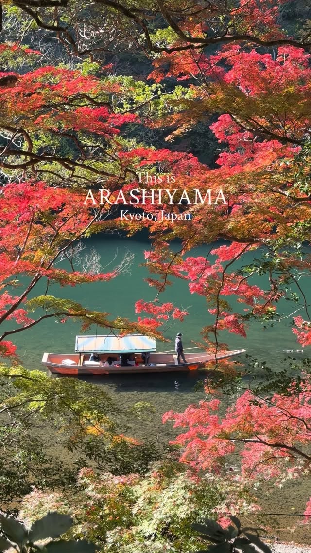 Alexandra Konti ✈︎ Travel Content Creator, Arashiyama Bamboo Forest