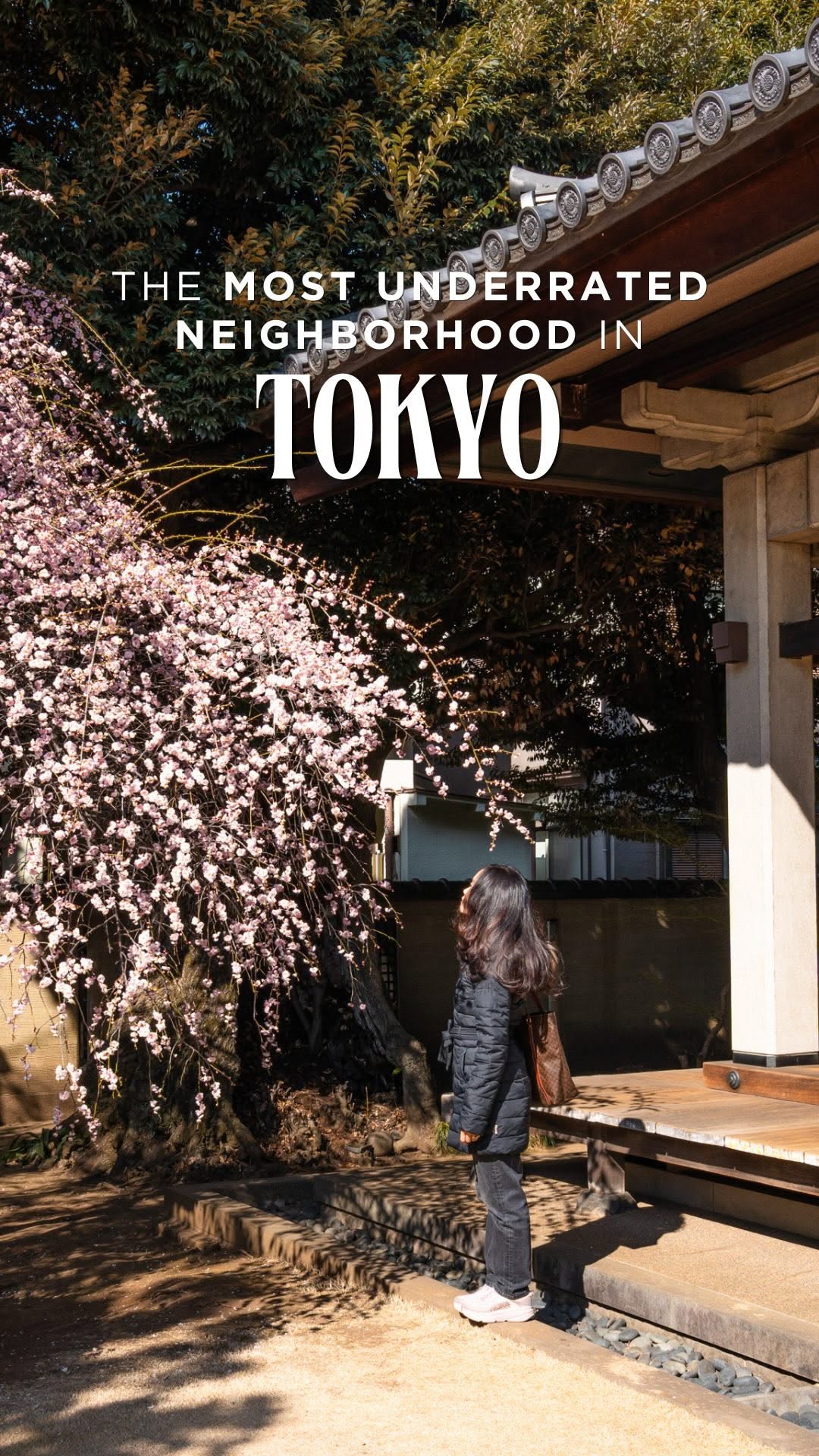 Mia & Lev | Curated Travel Destination Guides, Yanaka Ginza