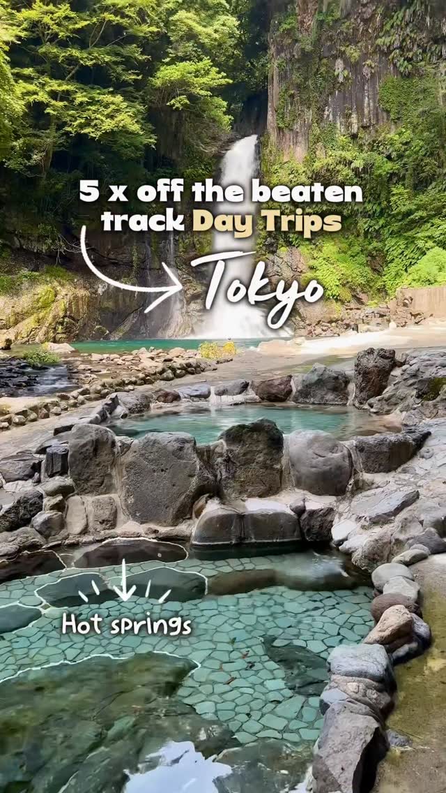 Travel & Lifestyle Creator + Tips for The-SavvyTourist.com, Kichijōji