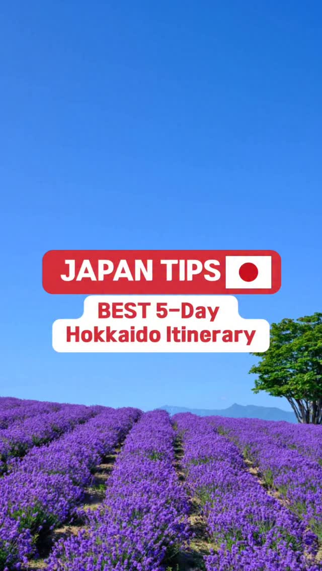 Japanese Food Stories, Mount Hakodate